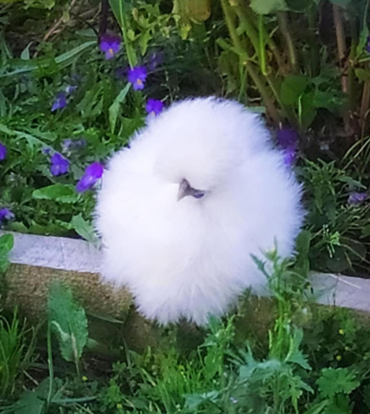 Willa Taranaki Creekside Kea By Tiny Away Stratford Zewnętrze zdjęcie